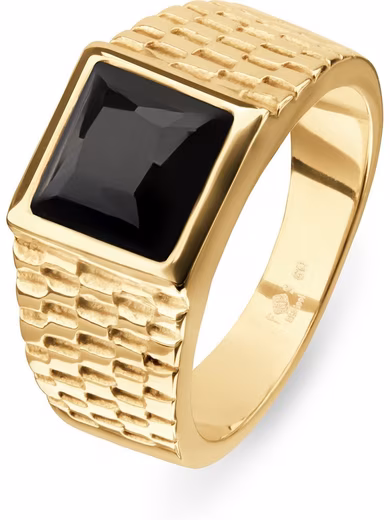 Finger ring FAVS men's stainless steel ring stainless steel 1 onyx Onyx, synthetic