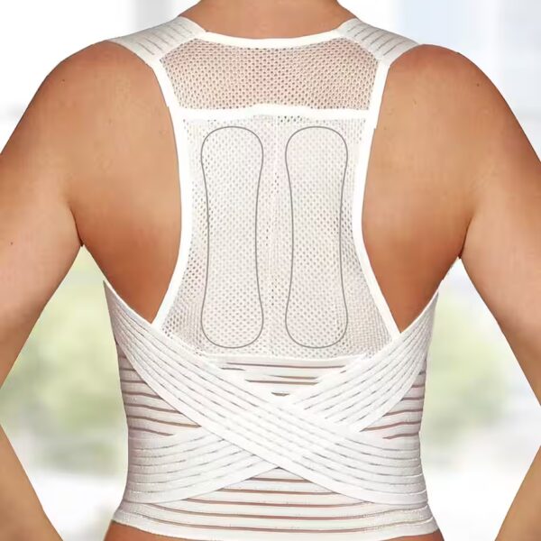 Straight holder with support belt made of temperature-balancing material, corrects the posture