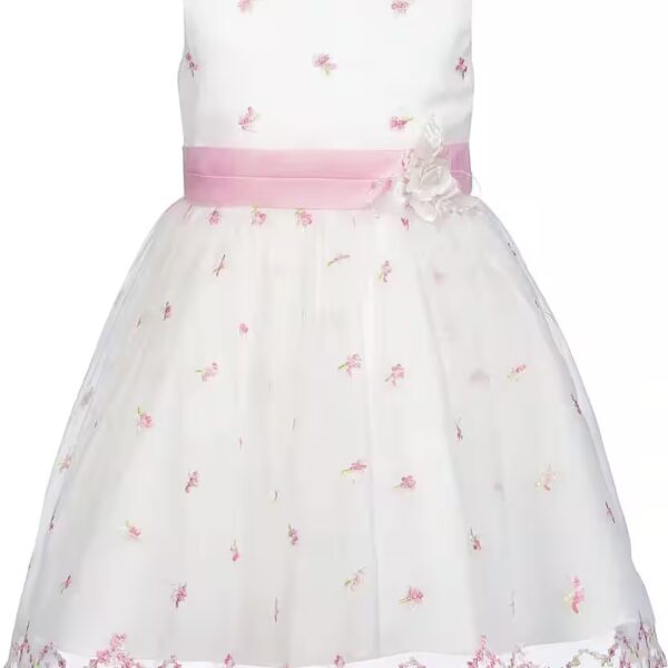 Baptism dress with beautiful, all-over embroidered tulle