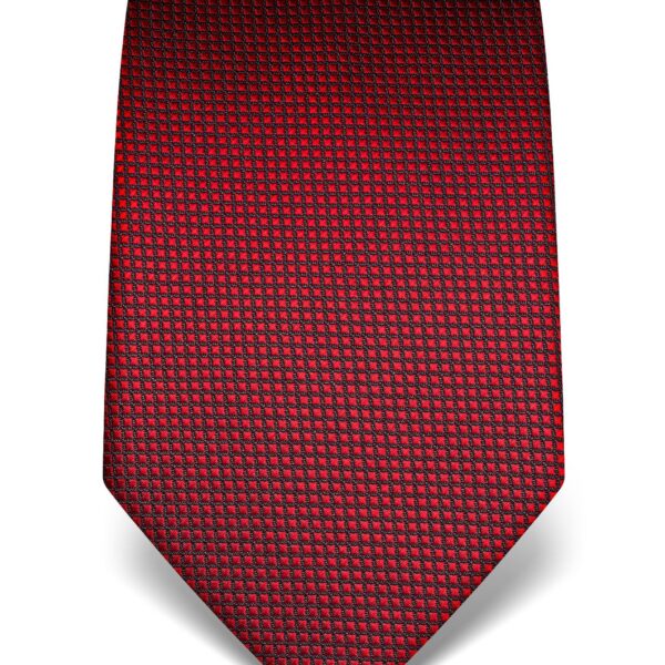 Checked tie