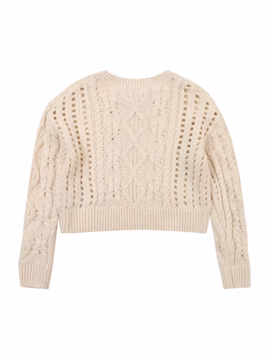 Cardigan sweater (1-piece) hole pattern