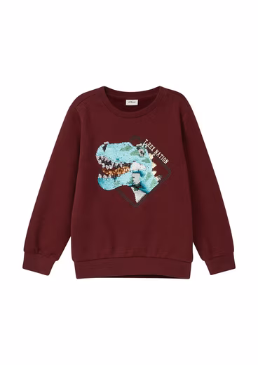 Sweater with sequin dinosaur and print, for boys