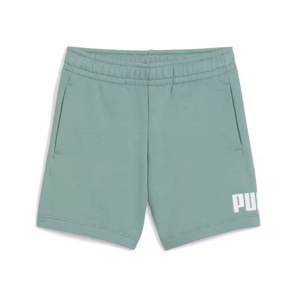 Training shorts ESS NO. 1 LOGO SHORTS TR PS