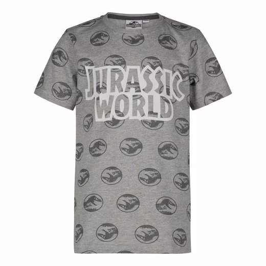 T-Shirt Jurassic World T-Rex Jurassic Park Kinder T-Shirt Kinder + Jugendliche Grau + Blau Größe 134/140 146/152 158/164 170/176 cm