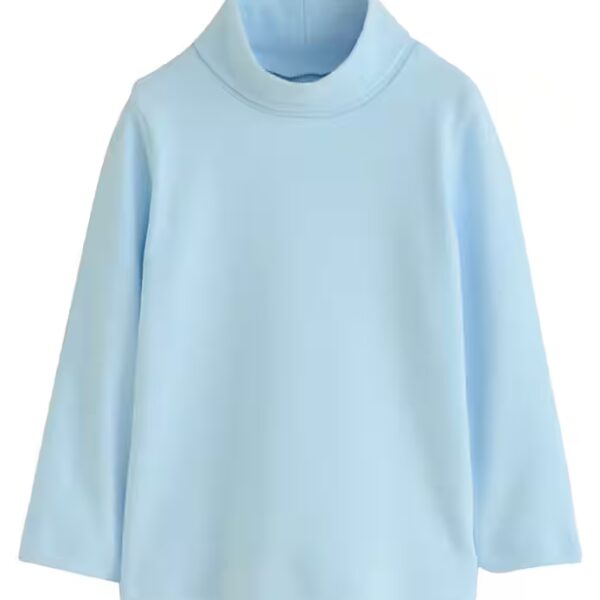 Long-sleeved blouse Long-sleeved turtleneck top