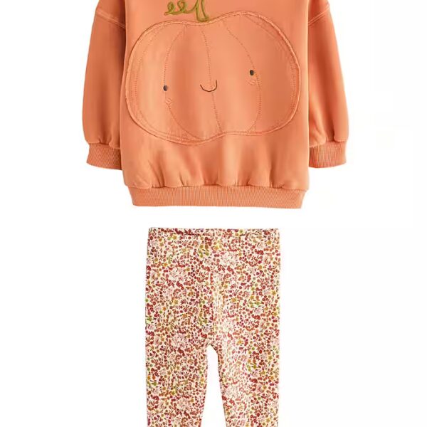 Top & Leggings sweatshirts and leggings in a set