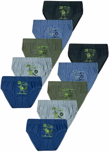 Pack of 10 boys' briefs - T-Rex - colorful Set, 10 pieces