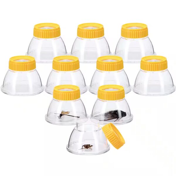 Children's Cups Cup magnifiers for children Set of 10 - Promoting Cognitive Learning