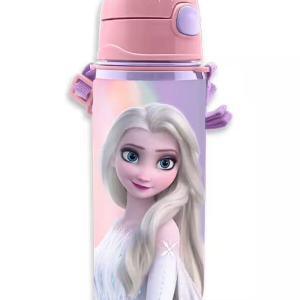 Aluminum water bottle, 500 ml, Frozen, featuring Elsa and Anna the Ice Princess