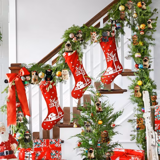 Advent Calendar Cats Advent Calendar 2025,24 Surprises for your cat - Image 6