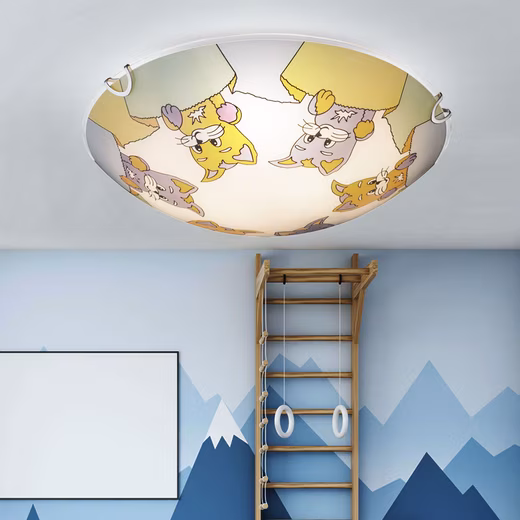 Ceiling light Light bulb not included, children's ceiling light with animals