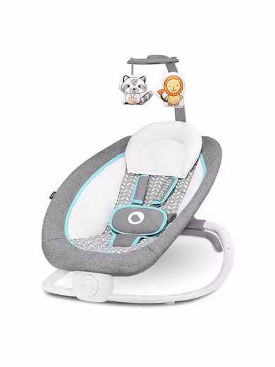 Pascal baby bouncer