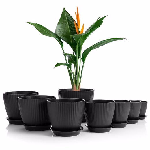Flower pot set of 8, flower pots in 8 different sizes (Set of 8 plant pots), Set of 8 sizes, with saucers, anthracite, weatherproof