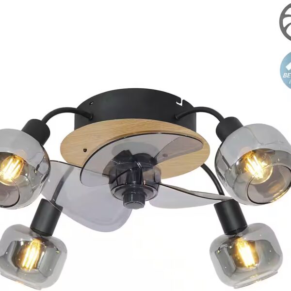 Fumoso ceiling light, ceiling fan