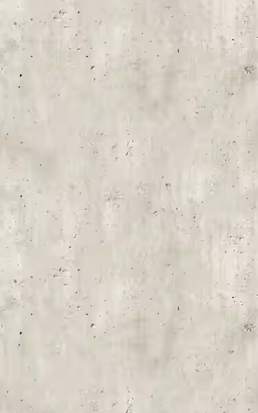 Vinyl Wallpaper Hope