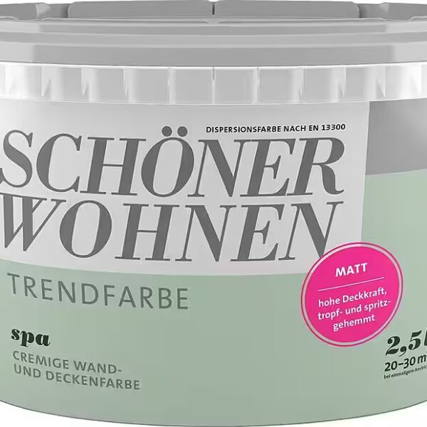 Wall and ceiling paint Spa