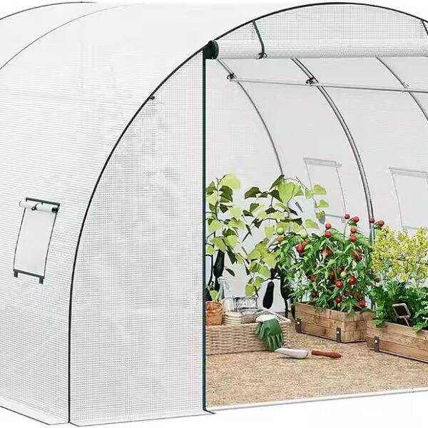 Tomato greenhouse WxDxH: 300 x 300 x 200 cm, Winterproof foil greenhouse, with door and 6 windows, 300x300x200 cm