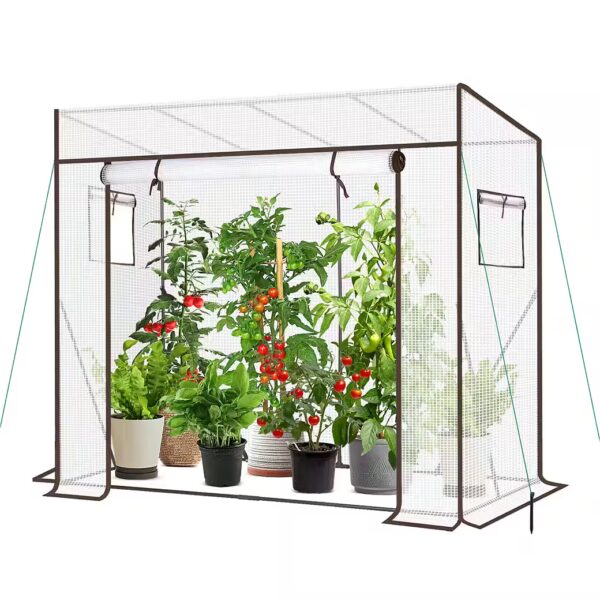 Greenhouse, sloping roof, polytunnel, tomato house, walk-in tomato greenhouse