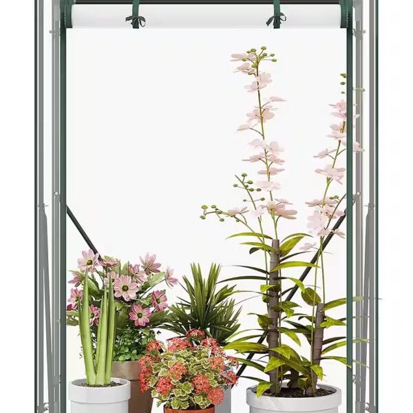 Polytunnel Tomato greenhouse, transparent