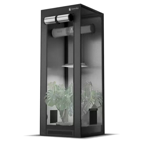 Greenhouse Grow Tent WxDxH: 60 x 60 x 160 cm, 100% lightproof grow box with removable base tray