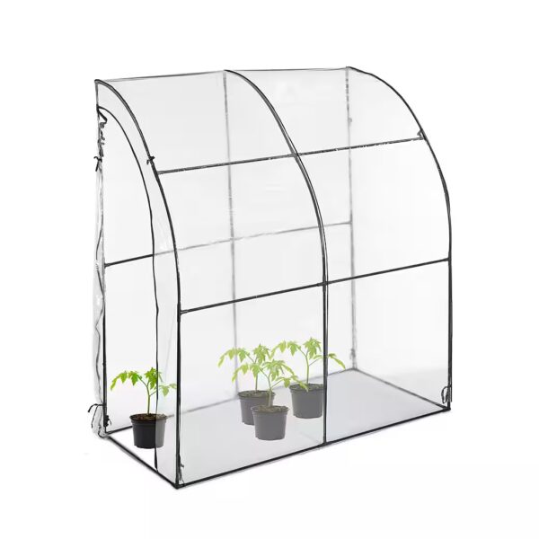 Walk-in tomato greenhouse with foil covering