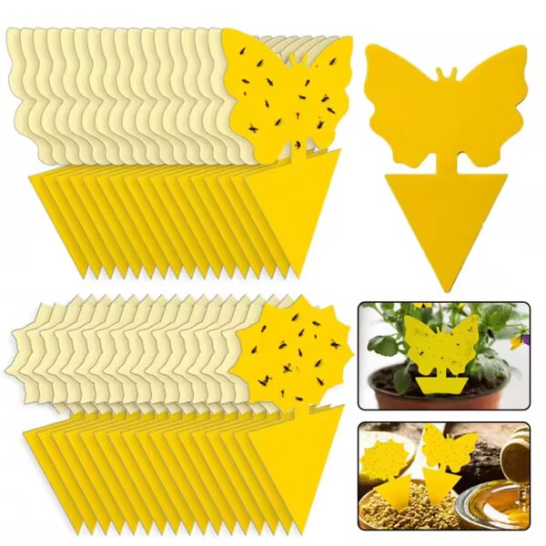 Insect trap, 36 pieces, yellow sticky traps for controlling fungus gnats, fly trap