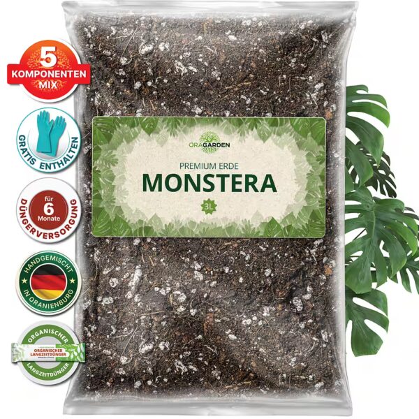 Special soil for Monstera
