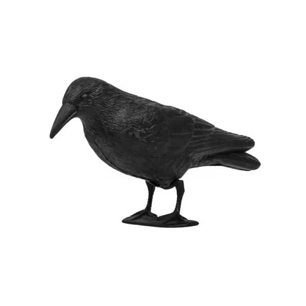 Bird deterrent, pigeon repellent, bird scarer, raven, Bradas