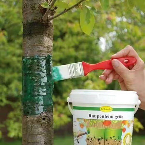 Insect trap caterpillar glue, green, 250g can - for the protection of your trees