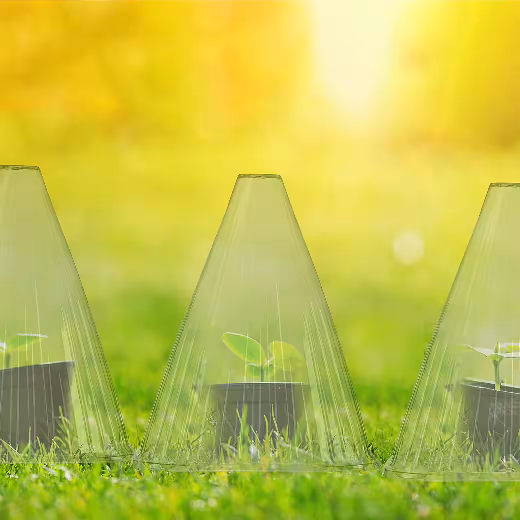 Plant protection roof, plant hat, 24-piece set - Image 2