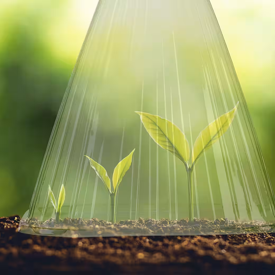 Plant protection roof, plant hat, 24-piece set - Image 3