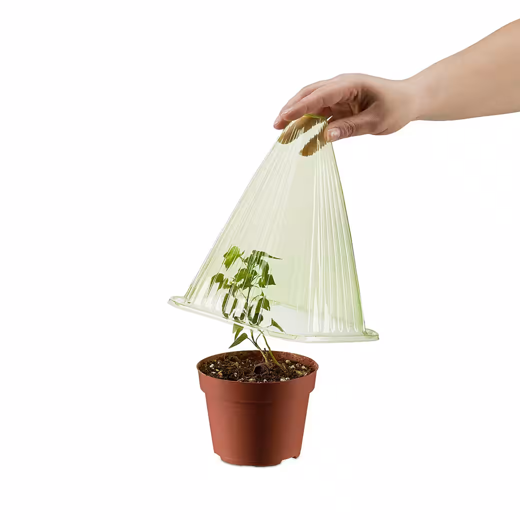 Plant protection roof, plant hat, 24-piece set - Image 6