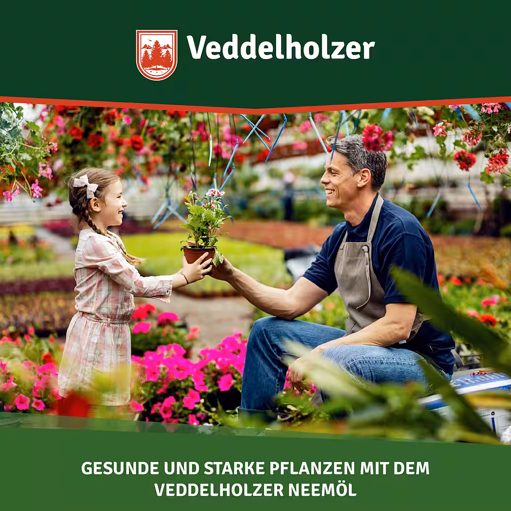 Plant strengthener 1000 ml premium cold-pressed 100% natural neem oil complete set with natural emulsifier + 500 ml spray bottle & 2 measuring cups, natural plant care, for indoor & outdoor use - Image 7