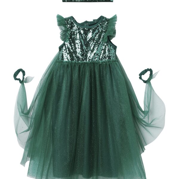 Princess costume with train and crown