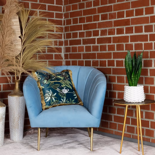 Houseplant Snake Plant - Sansevieria trifasciata Black Coral Easy to care for - Height approx. 35 cm, pot diameter 12 cm - Image 4