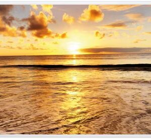 Infrared Heater HF-HP105 Strand 1 Electric Heater incl. Thermostat, 300 - 1000 Watt