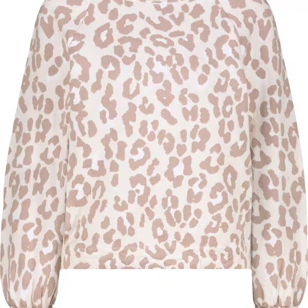 Crew neck sweater 808961