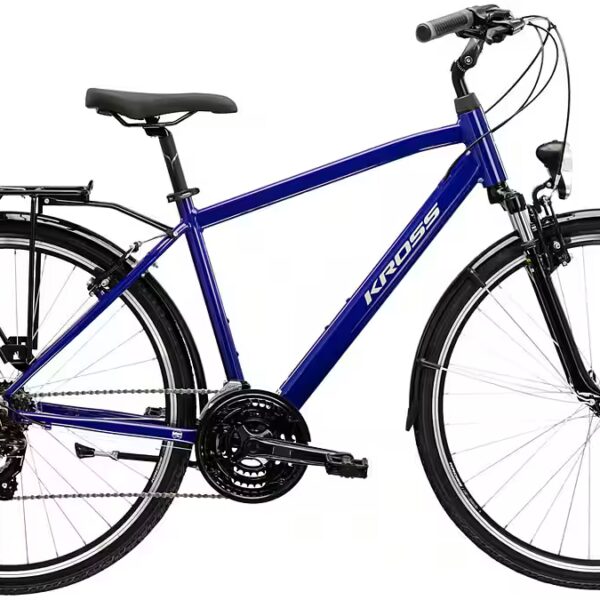 Trekking bike Trans 1.0