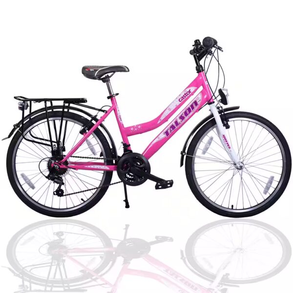 City Bike 26 inch City Bike 21-speed Shimano derailleur gears, with lights compliant with German road traffic regulations (StVZO) and pink luggage rack