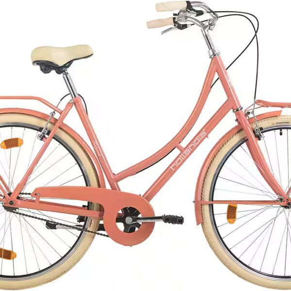 Dutch bike Feelgood 1 gear, without gears