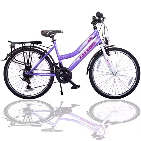 City Bike 26 inch City Bike 21-speed Shimano derailleur gears, with lights compliant with German road traffic regulations (StVZO) and luggage rack (purple)