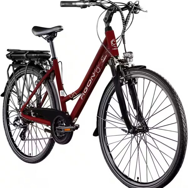 Avesa e-trekking bike 21-speed, derailleur gears, rear motor, 374 Wh, pedelec, electric bicycle for women and men
