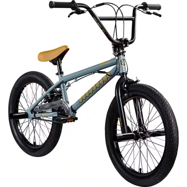 Project 301 BMX Bike 1-Speed, 20-inch BMX Bike, 2 Pegs, 360° Rotor, Youth/Adults