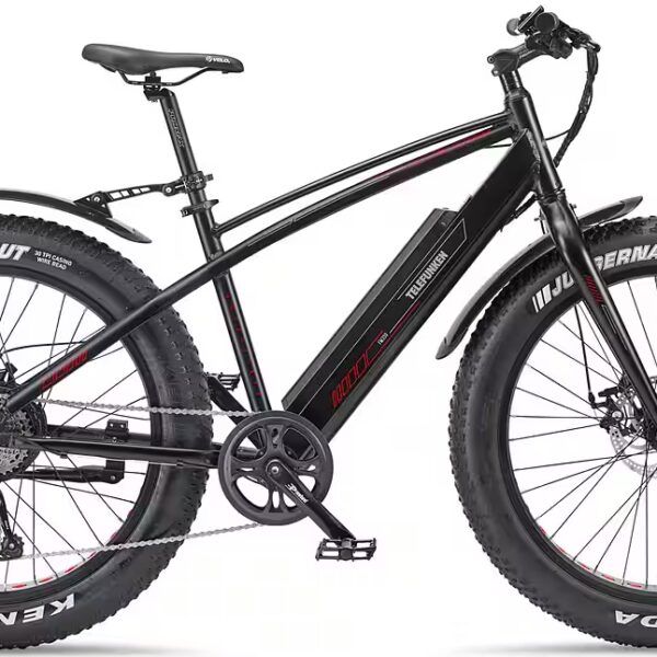 E-Bike Mountain Bike Upgrade FM350