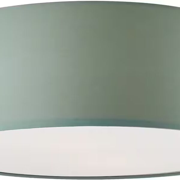 Elijah ceiling light