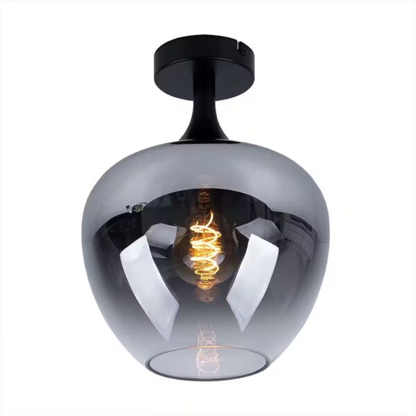 Ceiling light Light bulb not included, ceiling lamp smoked glass living room light ceiling light
