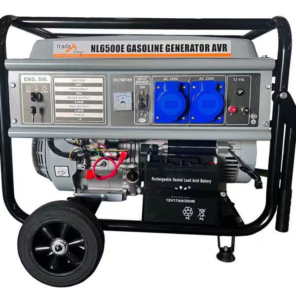 Gasoline generator AVR 5.5kVA