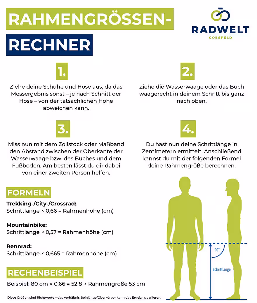 Trekking bike Pegasus Solero SL Disc 24 women's trapeze black 2024 - Image 2