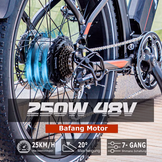 E-Bike Mountain Bike Women & Men 26x4'' Electric Bike Robin, 624Wh, 130km, Off-Road - Image 4