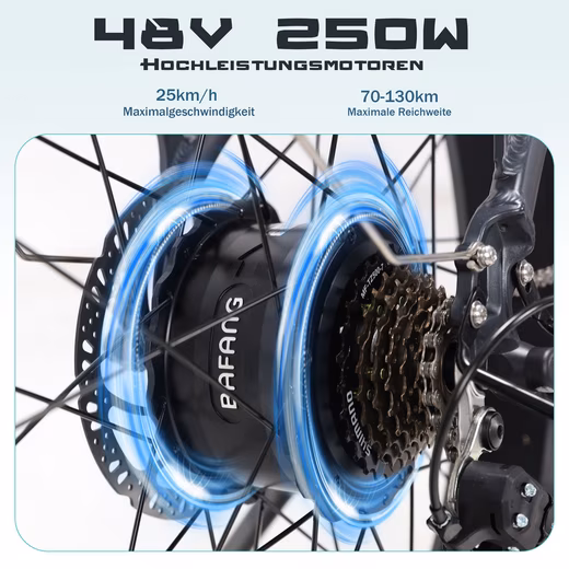 E-Bike Mountain Bike Women & Men 26x4'' Electric Bike Robin, 624Wh, 130km, Off-Road - Image 14